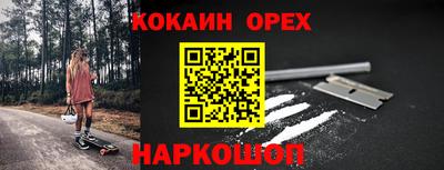гидра Брянск