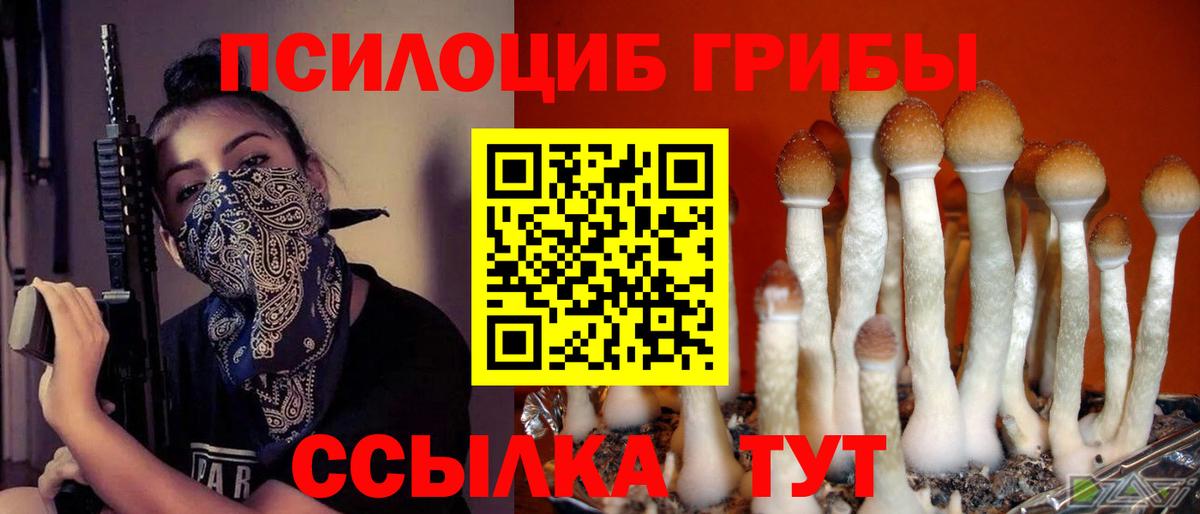Псилоцибиновые грибы Magic Shrooms Вышний Волочёк