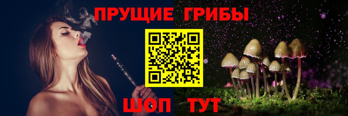 Вышний Волочёк  Галлюциногенные грибы Magic Shrooms  Вход с VPN 